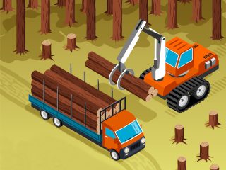 La seguridad en los trabajos forestales